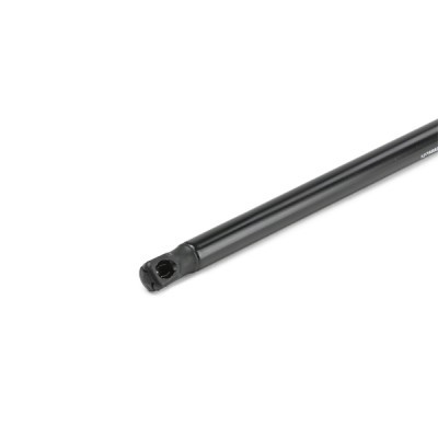 Gasfeder, Koffer-/Laderaum RIDEX 219G0844 219G0844 - foto 6