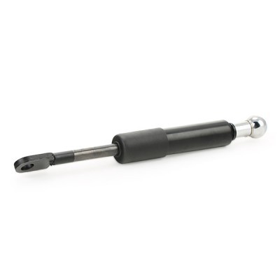 Gasfeder, Koffer-/Laderaum RIDEX 2454G0006 2454G0006 - foto 4