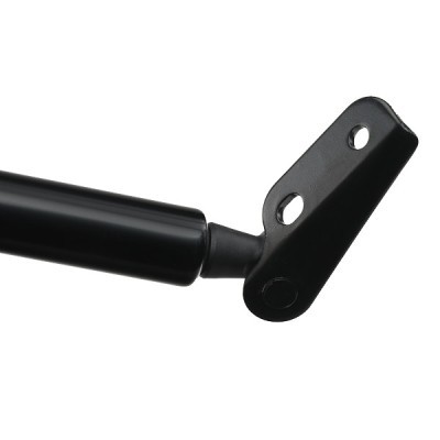 Gasfeder, Koffer-/Laderaum RIDEX 219G0703 219G0703 - foto 4