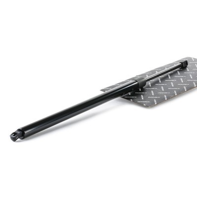 Gasfeder, Koffer-/Laderaum RIDEX 219G0948 219G0948 - foto 2