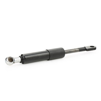 Gasfeder, Koffer-/Laderaum RIDEX 2454G0006 2454G0006 - foto 3