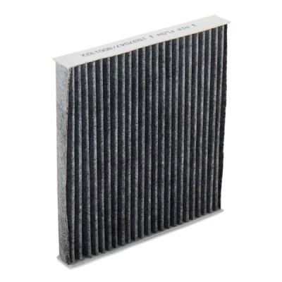 Filter, Innenraumluft RIDEX 424I0249 424I0249 - foto 6