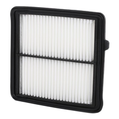 Luftfilter RIDEX 8A0289 8A0289 - foto 3