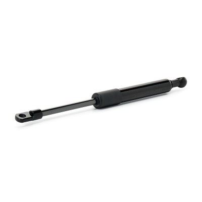 Gasfeder, Koffer-/Laderaum RIDEX 219G1329 219G1329 - foto 2