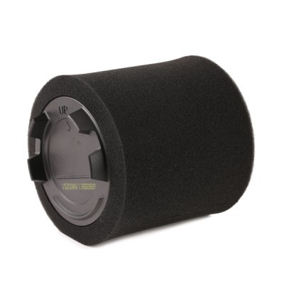 Luftfilter RIDEX 8A0575 8A0575 - foto 4