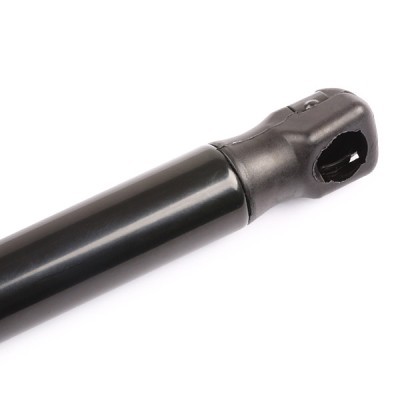 Gasfeder, Koffer-/Laderaum RIDEX 219G0040 219G0040 - foto 5