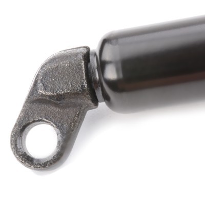Gasfeder, Koffer-/Laderaum RIDEX 219G0033 219G0033 - foto 4