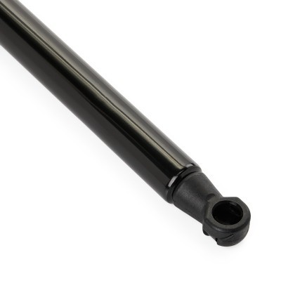 Gasfeder, Koffer-/Laderaum RIDEX 219G1157 219G1157 - foto 5