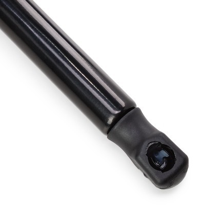 Gasfeder, Koffer-/Laderaum RIDEX 219G1504 219G1504 - foto 5