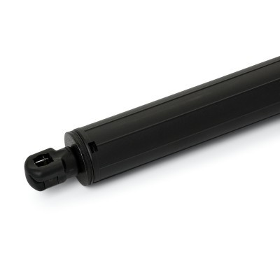 Gasfeder, Koffer-/Laderaum RIDEX 219G1124 219G1124 - foto 4