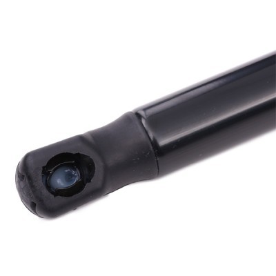 Gasfeder, Koffer-/Laderaum RIDEX 219G0217 219G0217 - foto 4