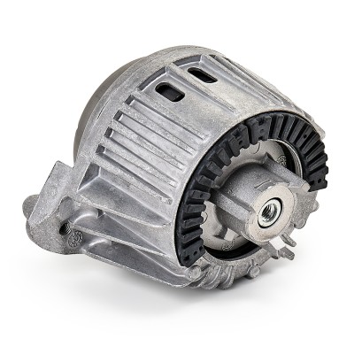 Motoraufhängung RIDEX 247E0398 247E0398 - foto 6