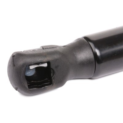 Gasfeder, Koffer-/Laderaum RIDEX 219G0955 219G0955 - foto 7