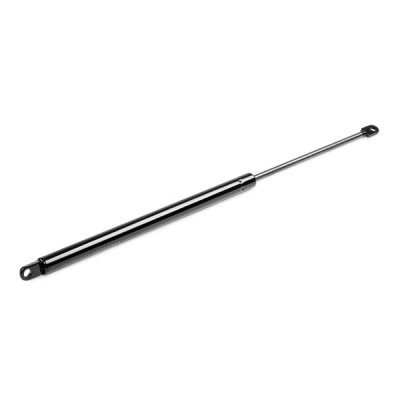 Gasfeder, Koffer-/Laderaum RIDEX 219G0853 219G0853 - foto 10