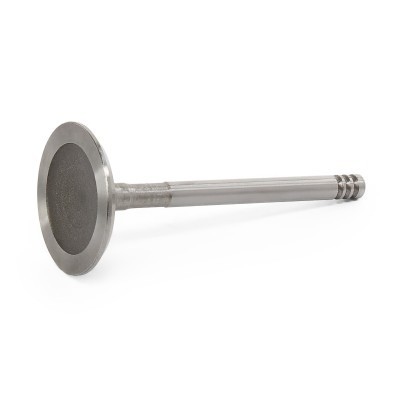 Einlassventil RIDEX 1269I0023 1269I0023 - foto 2