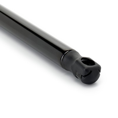 Gasfeder, Koffer-/Laderaum RIDEX 219G1234 219G1234 - foto 5