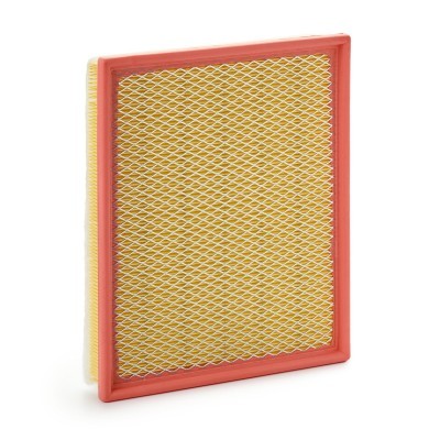 Luftfilter RIDEX 8A0982 8A0982 - foto 2