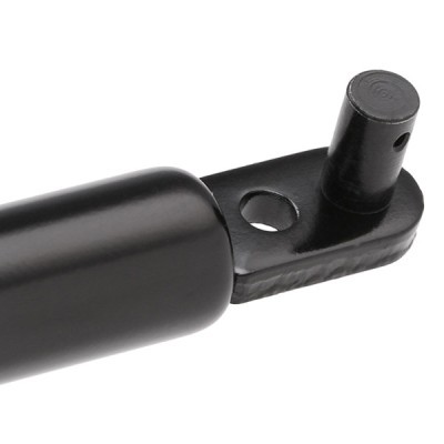 Gasfeder, Koffer-/Laderaum RIDEX 219G0512 219G0512 - foto 6