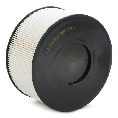 Luftfilter RIDEX 8A0115 8A0115 - foto 4