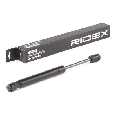 Gasfeder, Koffer-/Laderaum RIDEX 219G0260 219G0260 - foto 2