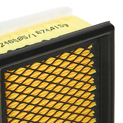 Luftfilter RIDEX 8A0021P 8A0021P - foto 5