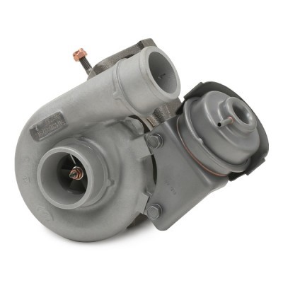 Turbolader RIDEX 2234C0404R 2234C0404R - foto 4