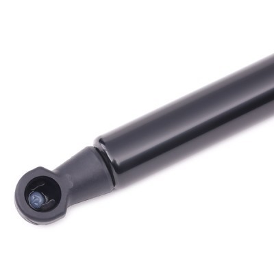 Gasfeder, Koffer-/Laderaum RIDEX 219G0060 219G0060 - foto 4