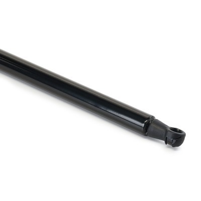 Gasfeder, Koffer-/Laderaum RIDEX 219G1324 219G1324 - foto 5