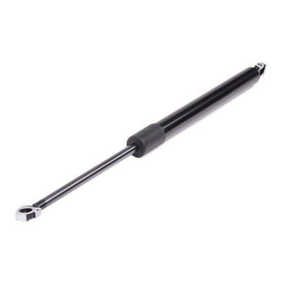 Gasfeder, Koffer-/Laderaum RIDEX 219G0295 219G0295 - foto 6