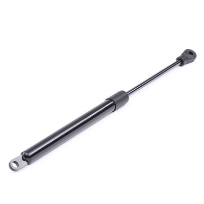 Gasfeder, Koffer-/Laderaum RIDEX 219G0245 219G0245 - foto 2