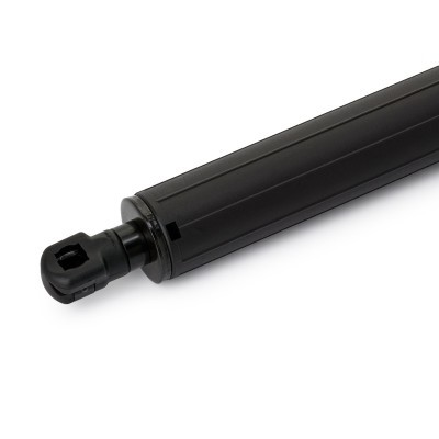 Gasfeder, Koffer-/Laderaum RIDEX 219G1129 219G1129 - foto 4