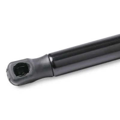 Gasfeder, Koffer-/Laderaum RIDEX 219G0803 219G0803 - foto 4
