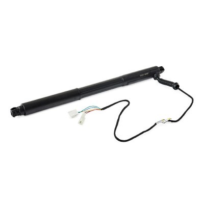 Gasfeder, Koffer-/Laderaum RIDEX 219G1031 219G1031 - foto 2