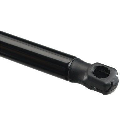 Gasfeder, Koffer-/Laderaum RIDEX 219G1013 219G1013 - foto 4