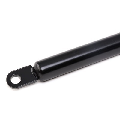 Gasfeder, Koffer-/Laderaum RIDEX 219G0700 219G0700 - foto 5