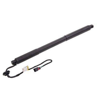 Gasfeder, Koffer-/Laderaum RIDEX 219G1035 219G1035 - foto 2