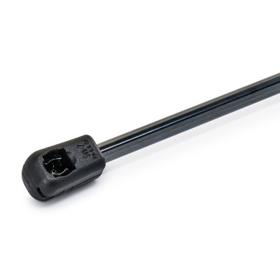 Gasfeder, Koffer-/Laderaum RIDEX 219G0387 219G0387 - foto 6
