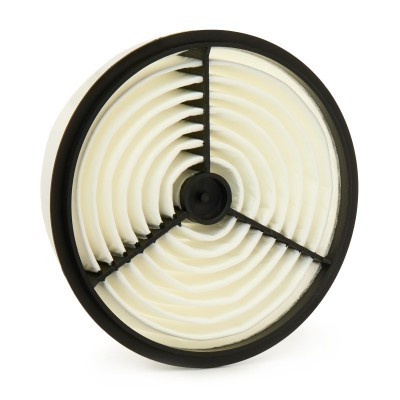 Luftfilter RIDEX 8A0600 8A0600 - foto 2