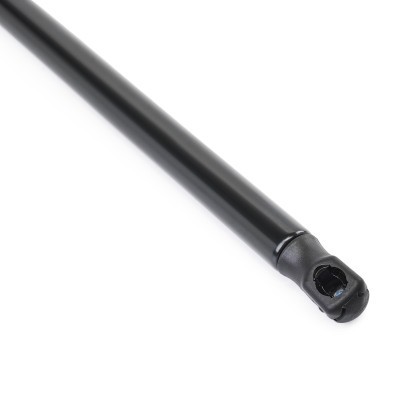 Gasfeder, Koffer-/Laderaum RIDEX 219G1172 219G1172 - foto 5
