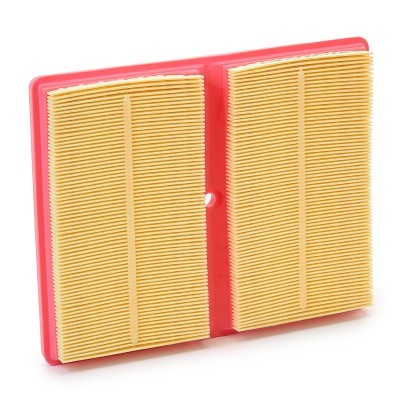 Luftfilter RIDEX 8A0794P 8A0794P - foto 4