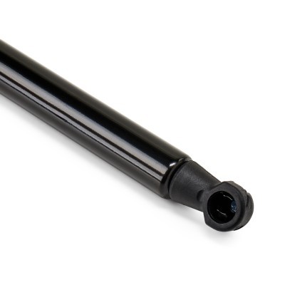 Gasfeder, Koffer-/Laderaum RIDEX 219G1230 219G1230 - foto 5