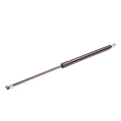 Gasfeder, Koffer-/Laderaum RIDEX 219G0031 219G0031 - foto 4