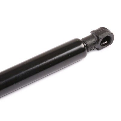 Gasfeder, Koffer-/Laderaum RIDEX 219G0327 219G0327 - foto 5