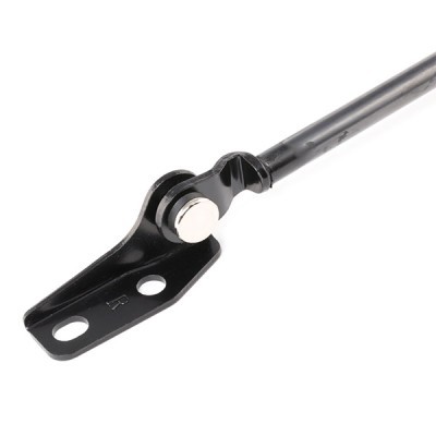 Gasfeder, Koffer-/Laderaum RIDEX 219G0573 219G0573 - foto 5