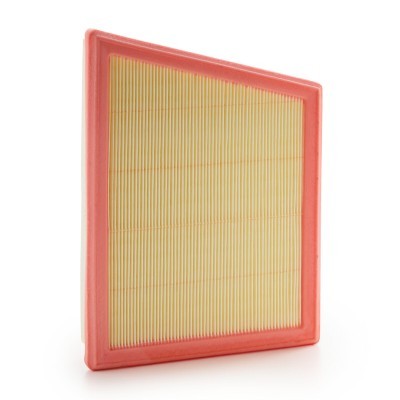 Luftfilter RIDEX 8A0646 8A0646 - foto 3