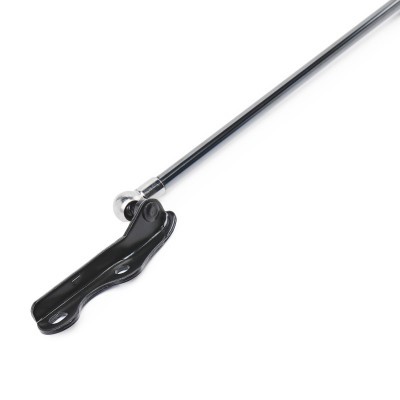 Gasfeder, Koffer-/Laderaum RIDEX 219G1063 219G1063 - foto 4