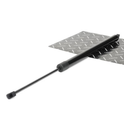 Gasfeder, Koffer-/Laderaum RIDEX 219G0430 219G0430 - foto 2