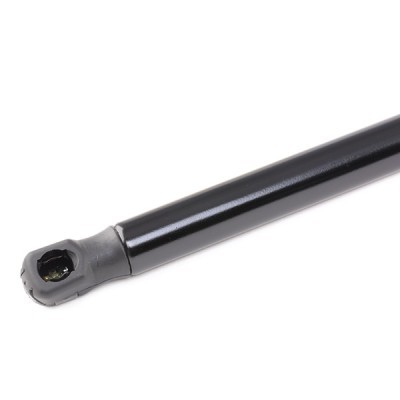 Gasfeder, Koffer-/Laderaum RIDEX 219G0724 219G0724 - foto 4