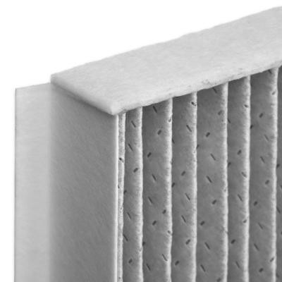 Filter, Innenraumluft RIDEX 424I0487P 424I0487P - foto 4