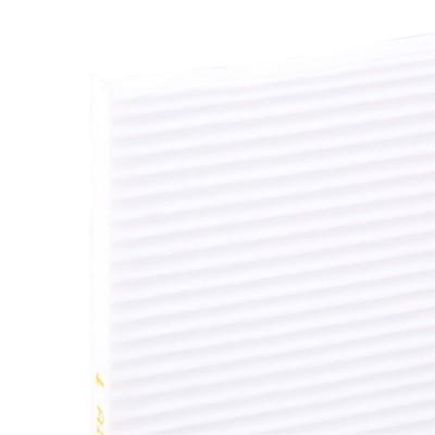 Filter, Innenraumluft RIDEX 424I0369 424I0369 - foto 5